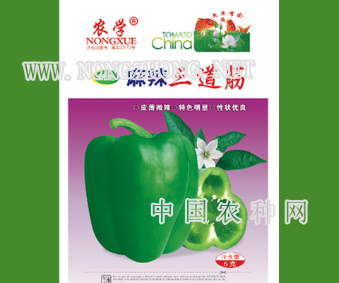 麻辣三道筋辣椒种子